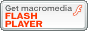 Flash Player炩_E[h